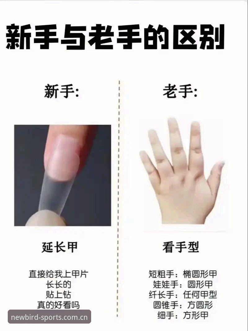 从小白到老手：中国区小鸟体育网站入口APP下载与全平台操作教程